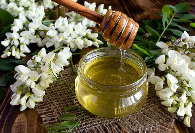 Acacia Honey
